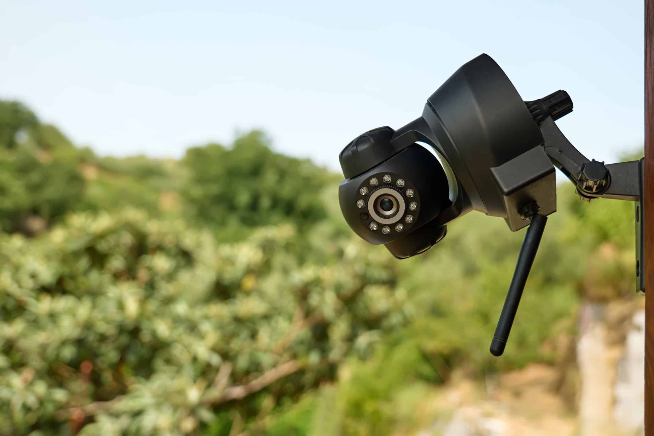 Caméra de surveillance agriculture